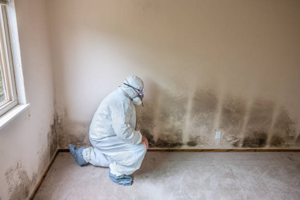 Forensic Mold Investigation in Renovo, PA